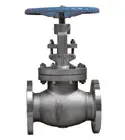 Globe-Valve