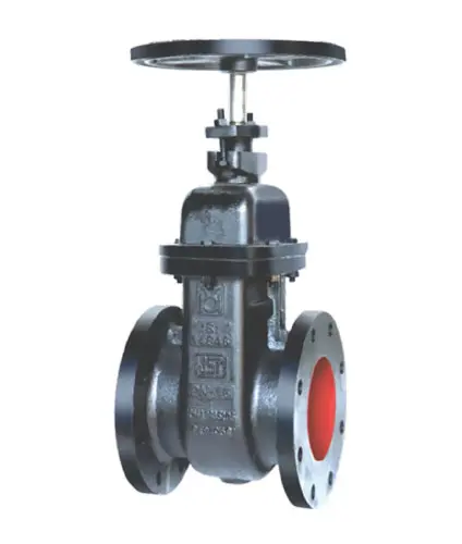 BS 5163 Valve