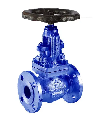 CI-Globe-Valve