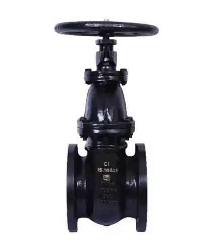 Cast Iron Gate Valve