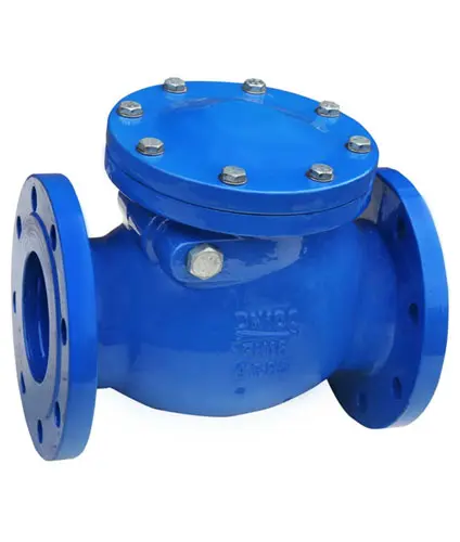 Check Valve