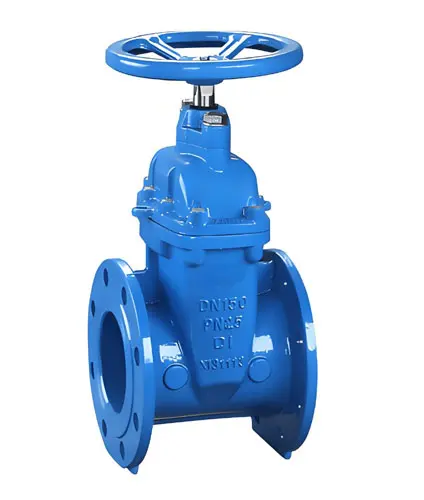 DI Gate Valve