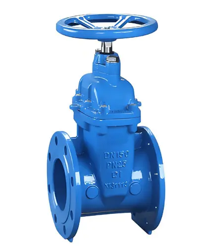 DI Sluice Valve