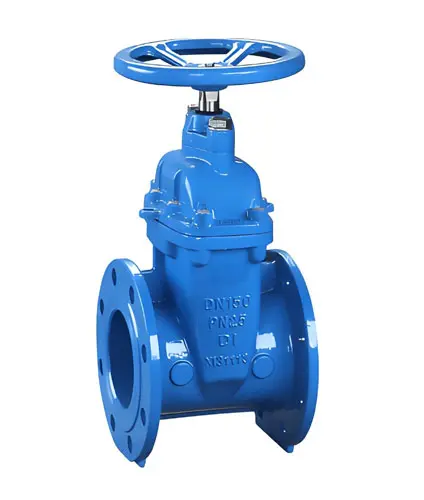 Ductile Iron Gate Valve