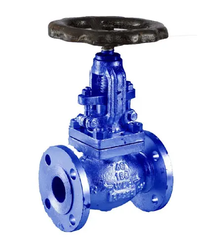 Globe Valve