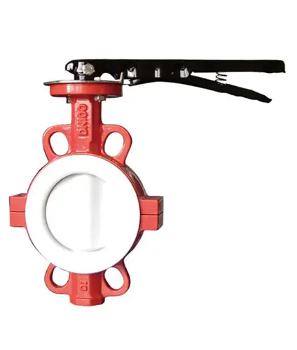 PTFE-Type-Butterfly-Valve