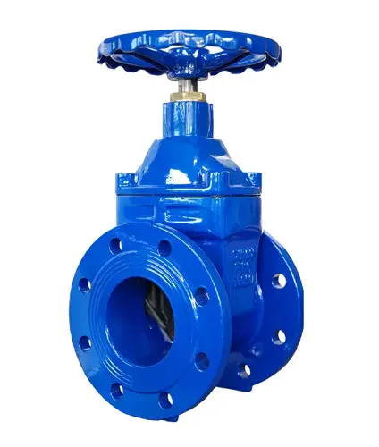 Resilient or Soft Seat Gate Valve