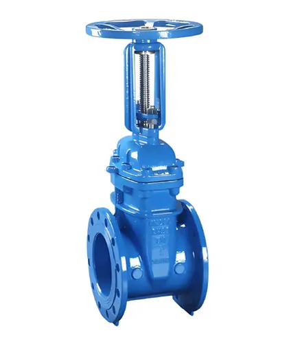 Rising Stem OS & Y Type Gate Valve